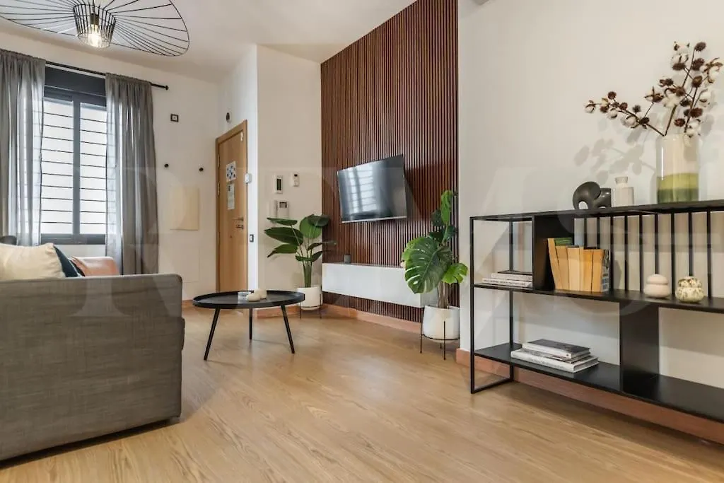 Comfortable Apartment In The Center By Rems Málaga España